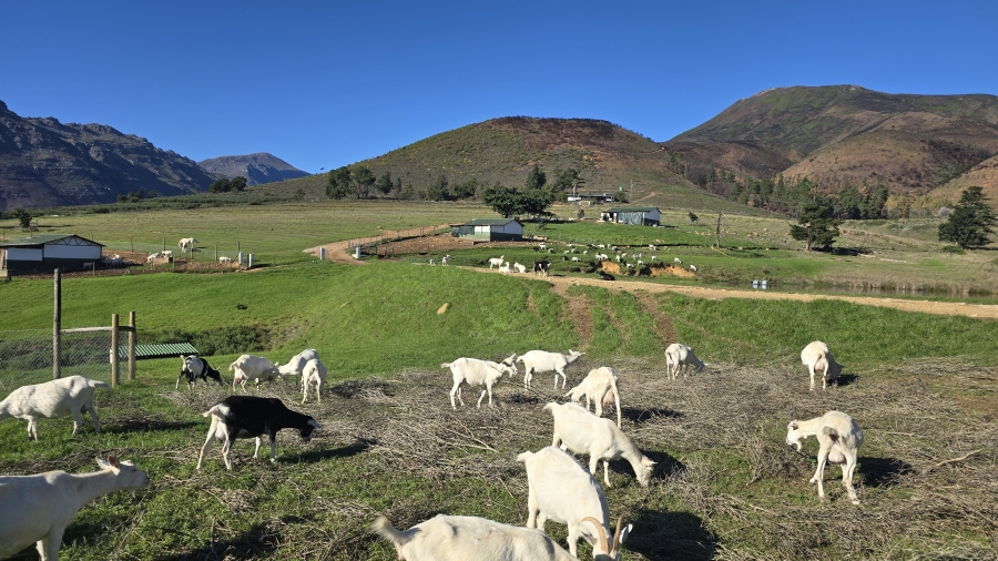 Commercial Property for Sale in Wellington Rural Western Cape